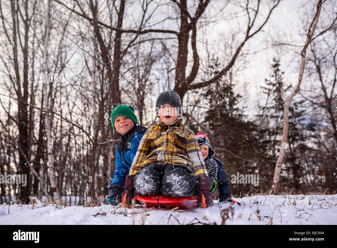 Zwei Jungen auf einem Schlitten lachen, Wisconsin, United States Stockfoto