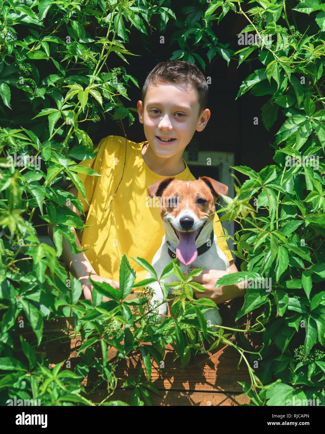 Lächelnde Junge mit Hund auf dem Baumhaus. Sommer! Kindheit Konzept Stockfoto