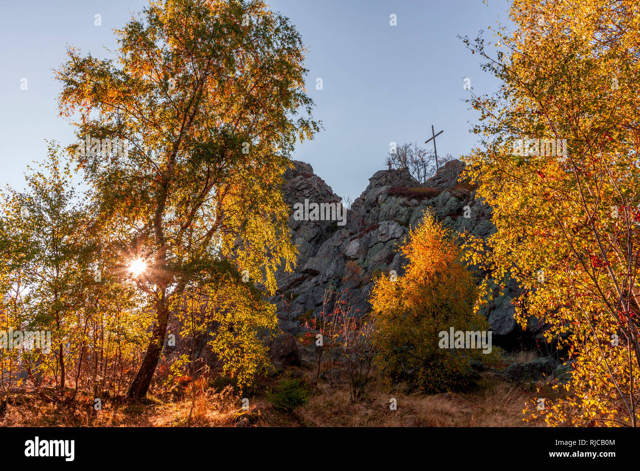 Birken im Herbst mit Bruchhauser Steine, Hildfeld, Sauerland, Deutschland Stockfoto