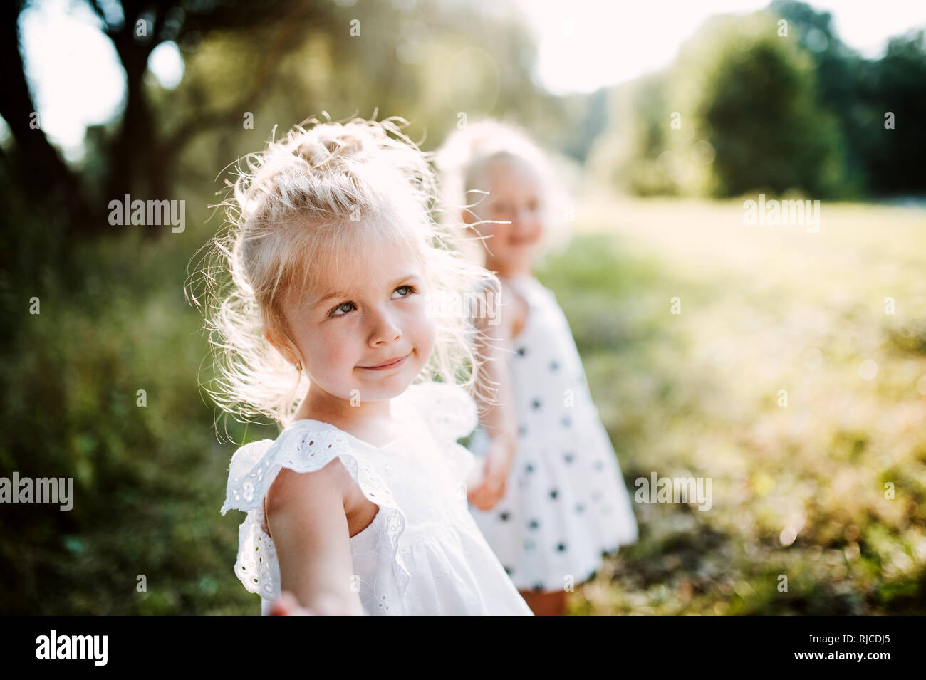Zwei kleine Mädchen Freunde oder Schwester im sonnigen Sommer Natur. Stockfoto