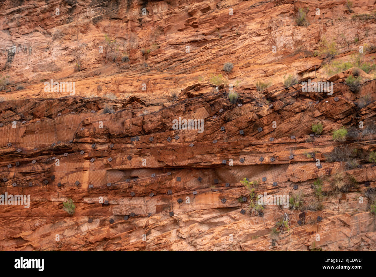 Die Navajo Sandstein Mauern des Glen Canyon voller Rock schrauben, verwendet, um vertikale Rissbildung zu verhindern, Glen Canyon Dam, Page, Arizona, United States. Stockfoto