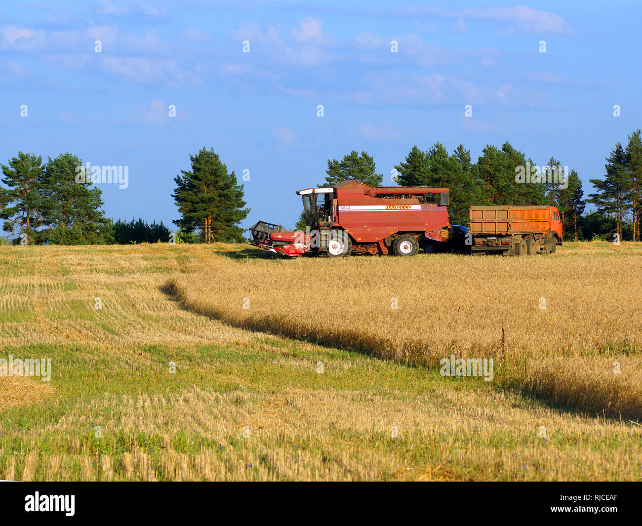 Ernte von Roggen. Spezielle Maschinen auf dem Feld reinigt die Roggen Getreide. Russland, das astrakhan Region. August 5, 2018 Stockfoto