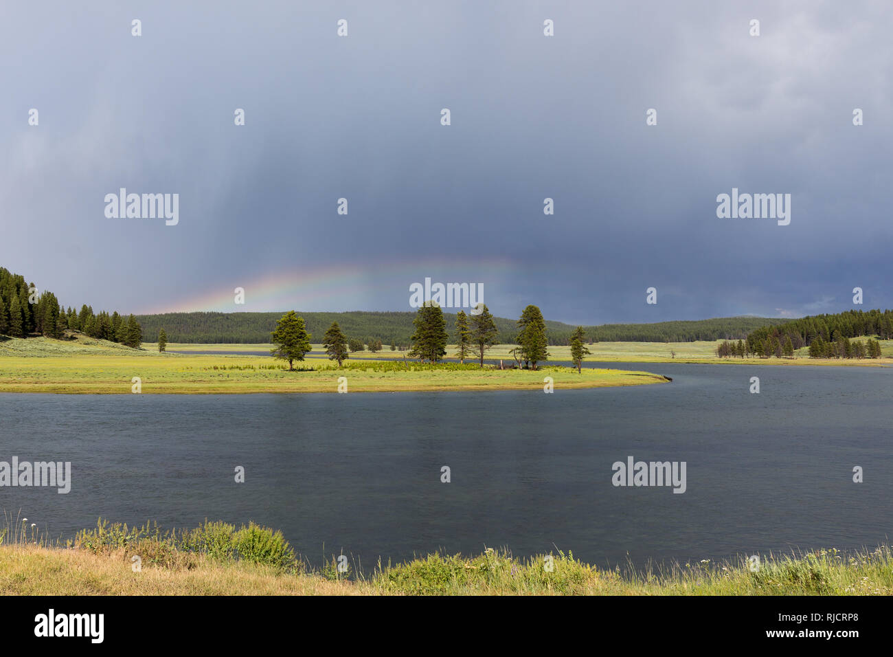 Seeblick in Yellowstone National Park, Wyoming, USA Stockfoto