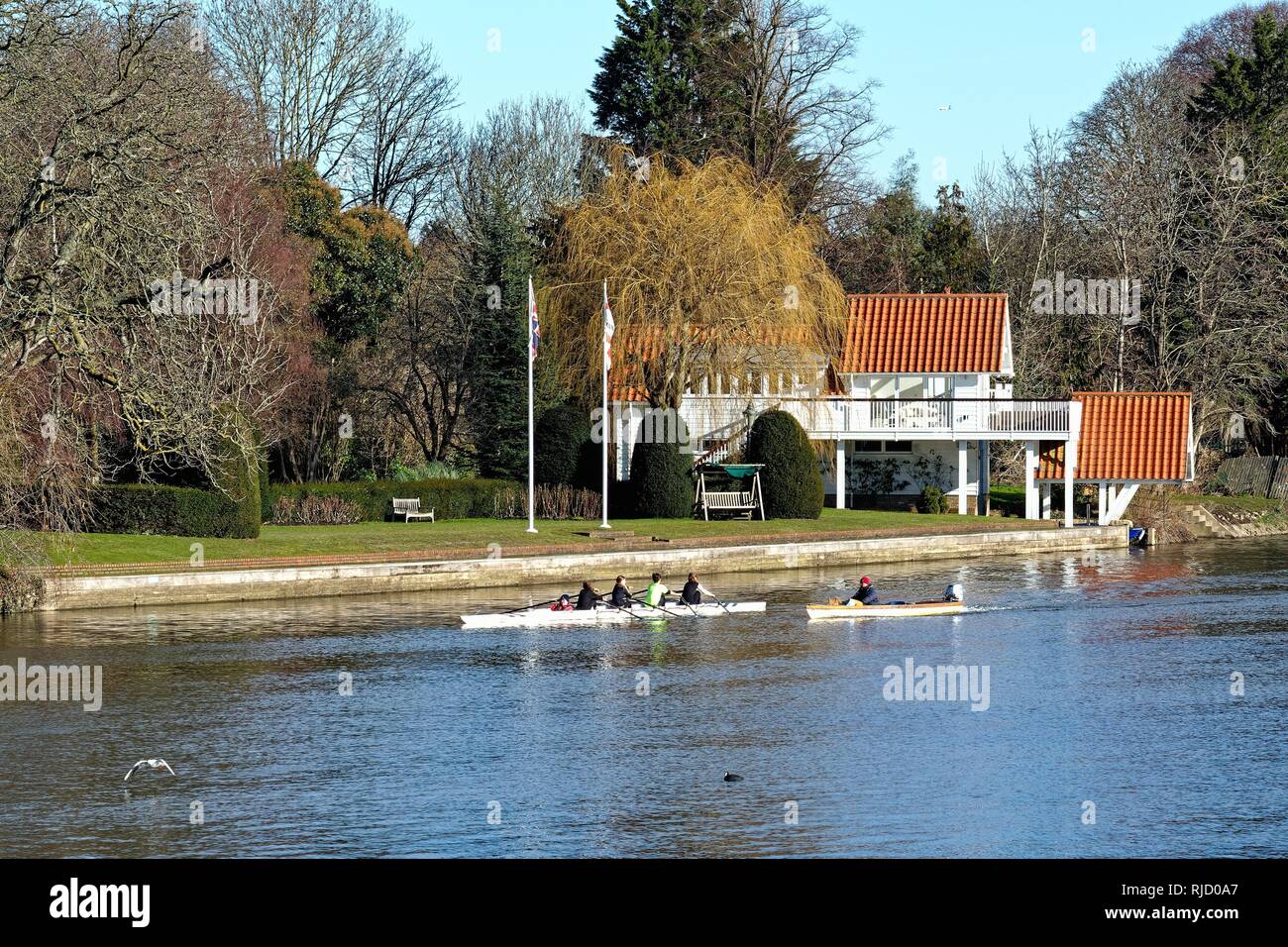 Ein Coxed vier Boot Rudern üben an der Themse an einem sonnigen Wintertag in Sunbury Surrey England Großbritannien Stockfoto