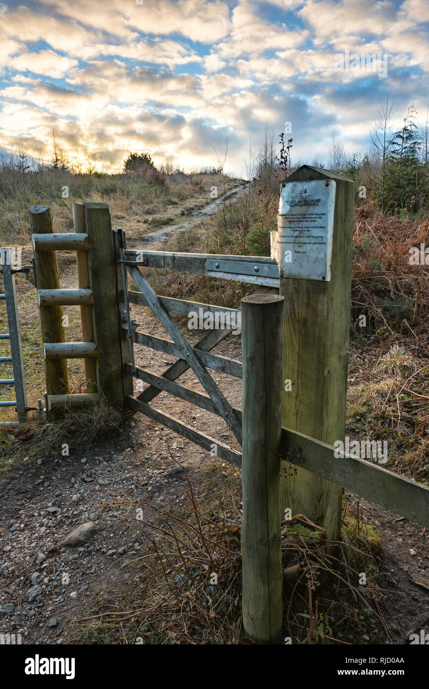 Gateway auf dem Beacon Hill Heide, Trellech, South Wales. Stockfoto