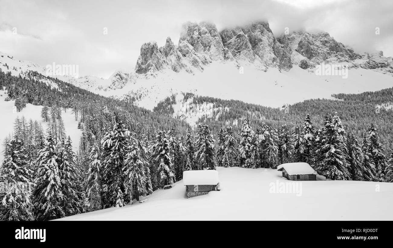 Val di Funes im Winter. Die geisler Berg Gruppe, Nadelwald. Trentino-südtirol. Italienische Alpen. Europa. Schwarz Weiß Berglandschaft. Stockfoto