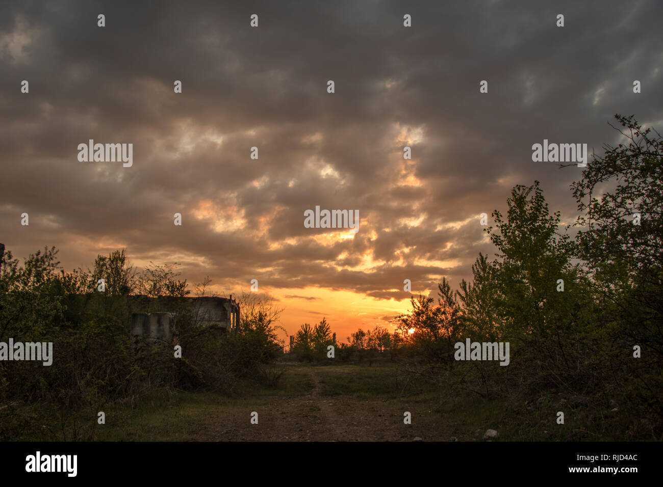 Sonne in den Ruinen Szene Stockfoto