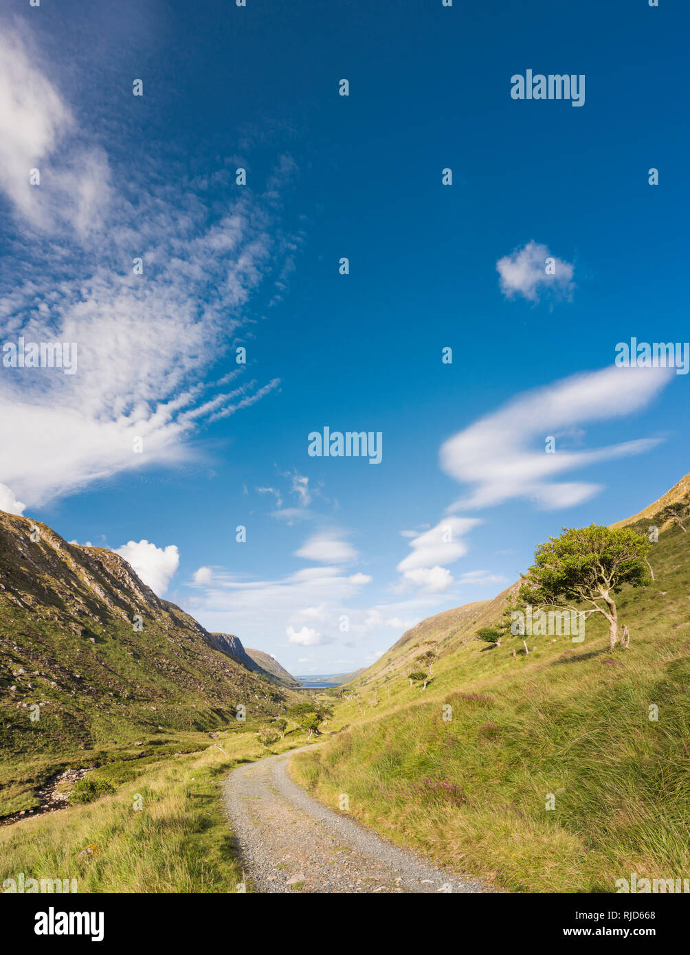 Wanderweg auf einer Spur durch Glenveagh National Park, County Donegal, Irland, an einem schönen Tag im August Stockfoto