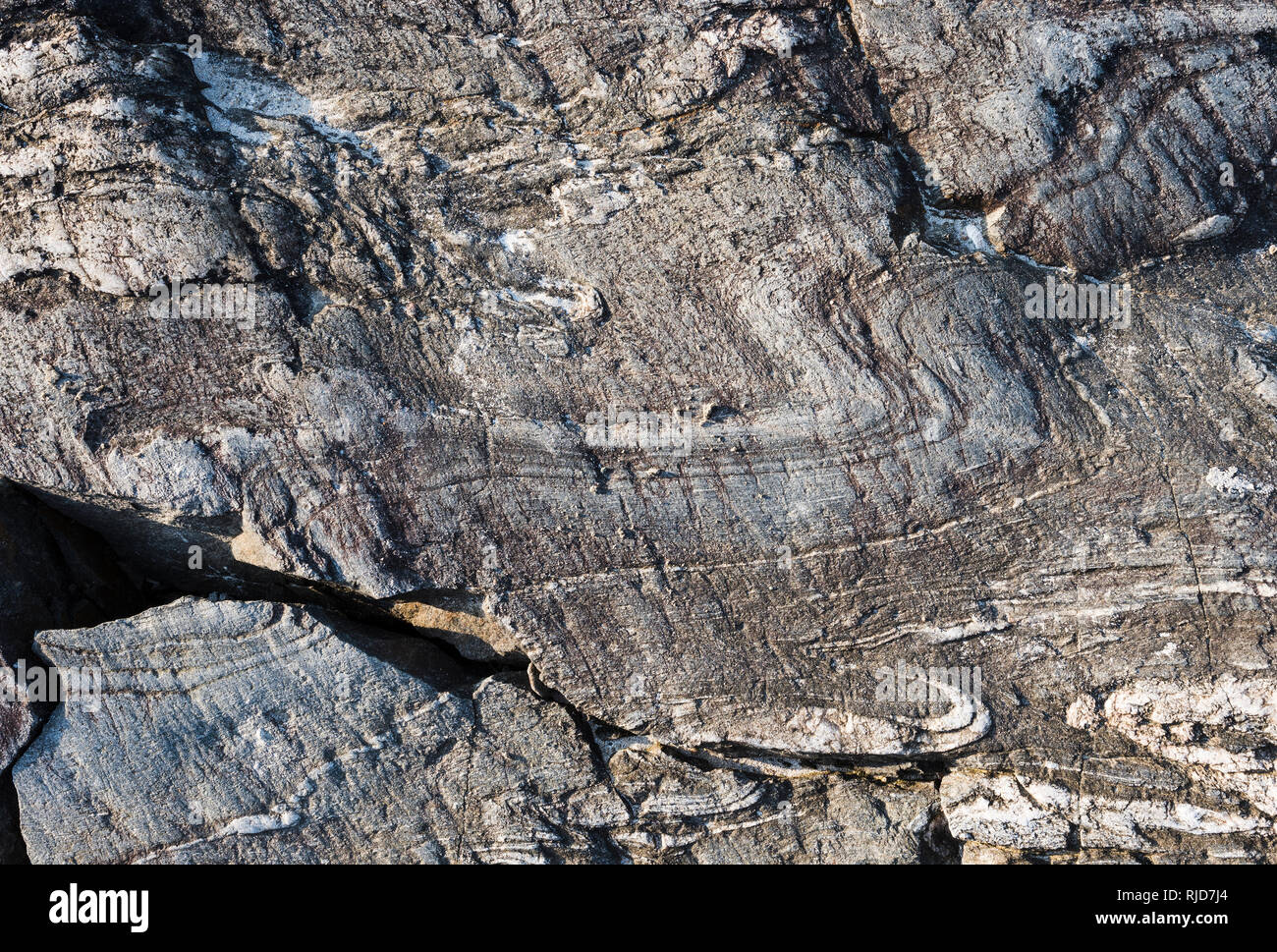 Hochgradig metamorphe Gesteine Gneis in der Nähe von Renvyle, Connemara, County Galway, Irland verformt Stockfoto