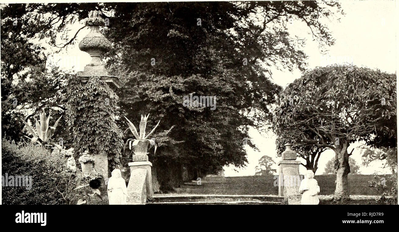 Das Jahrhundert Buch Des Im Garten Arbeitens Eine Umfassende