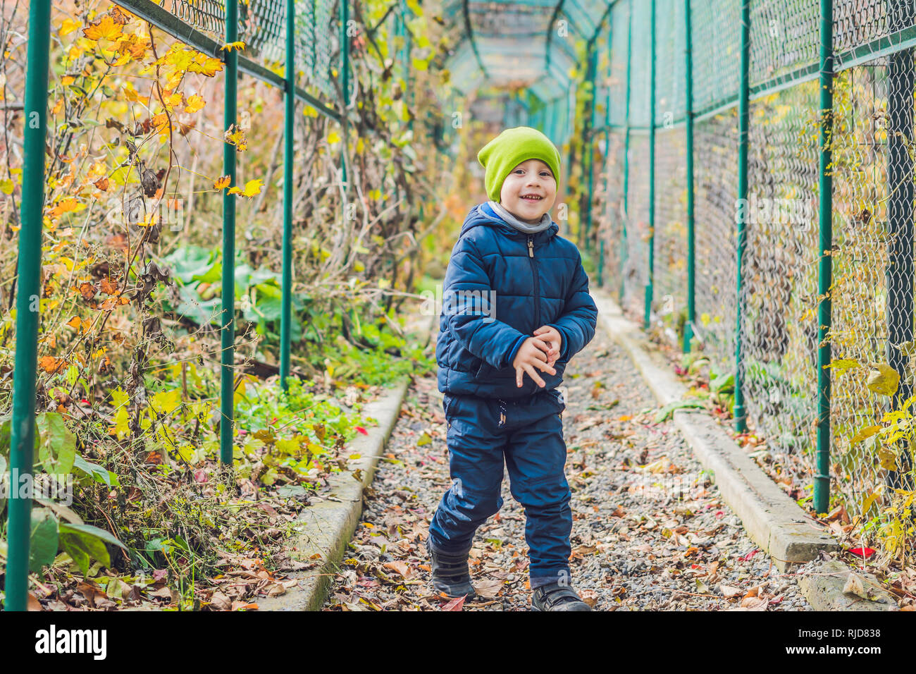 Susses Kleines Kind Junge Geniessen Herbst Tag Vorschule Kinder In