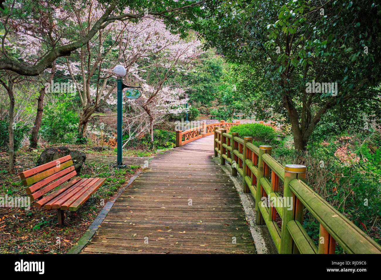 Jeju Olle Trail, Jeju Island, South Korea Stockfoto