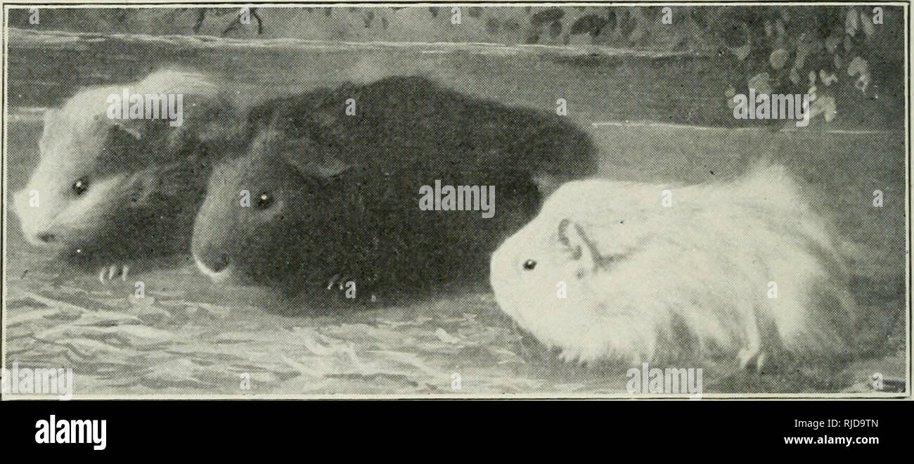 Get Die erfahrung lehrt uns Free