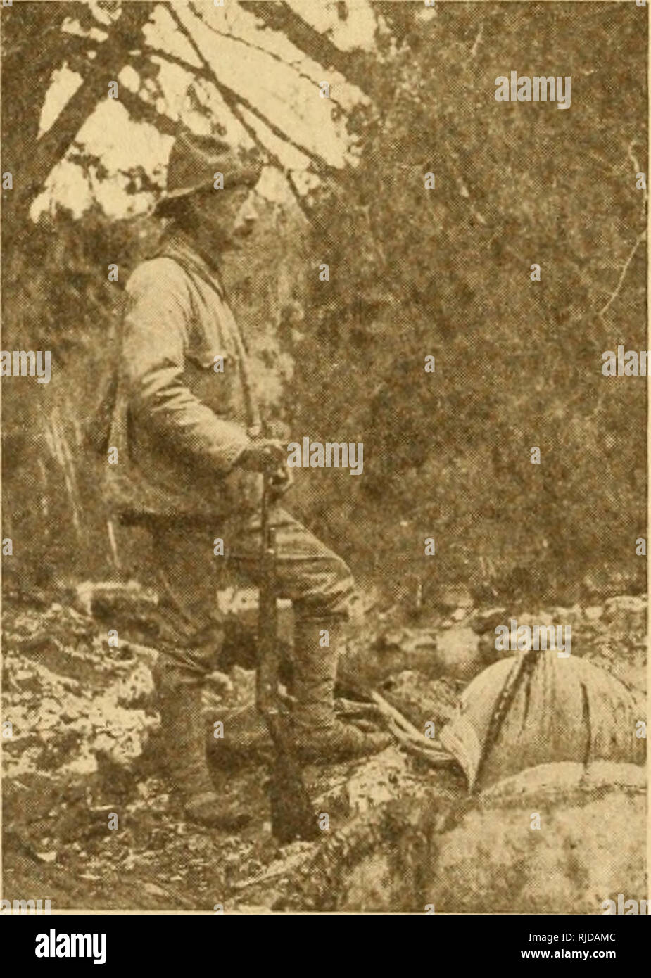 . Auf der Fliege gefangen;. Jagd und Angeln. Verschiedene kleine Spiel diese Vögel sind sehr schwer beschossen und benötigen ein mächtiger Schlag zu bringen. Ich habe eine Zahl 8 Bohrung, mit fünf drams von Pulver und einer Unze und einer Hälfte der Nummer eins geschossen, und es war Keiner zu Pow-ERFUL. Viel von Zeiten, vor allem, wenn ein großer Loon zog mit den Enten, würde man den Schuß schlagen hören, als ob er eine Scheune erschossen hatte, aber der große Kerl würde einen kleinen Ruck geben und sublim gehen, oder möglicherweise seine Flügel und Streik das Wasser eine Meile entfernt und weit außerhalb der Reichweite. Die Enten sind sehr dunkel im Fleisch, starke und Fischig und Lit Stockfoto