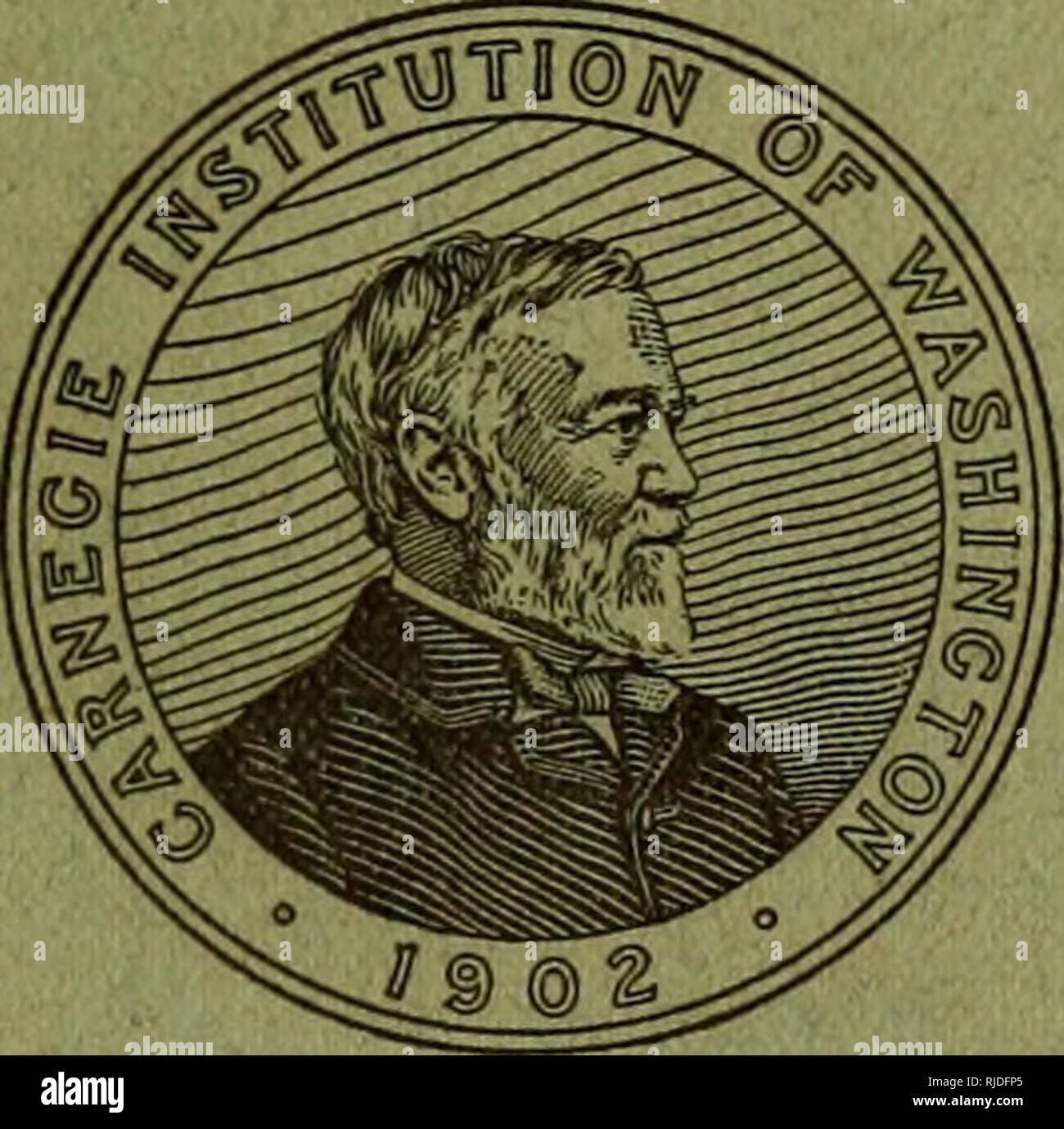 . Höhle Wirbeltiere von Amerika; eine Studie bei degenerativen Evolution. Höhle Tiere; Heteropygii. m HÖHLE WIRBELTIERE VON AMERIKA EINE STUDIE BEI DEGENERATIVEN EVOLUTION VON CARL H. EIGENMANN Professor für Zoologie, Indiana University. WASHINGTON, DC von der Carnegie Institution in Washington im Juni 1909 veröffentlicht. Bitte beachten Sie, dass diese Bilder sind von der gescannten Seite Bilder, die digital für die Lesbarkeit verbessert haben mögen - Färbung und Aussehen dieser Abbildungen können nicht perfekt dem Original ähneln. extrahiert. Eigenmann, Carl H., 1863-1927. Washington, D.C., Carnegie Institution von W Stockfoto