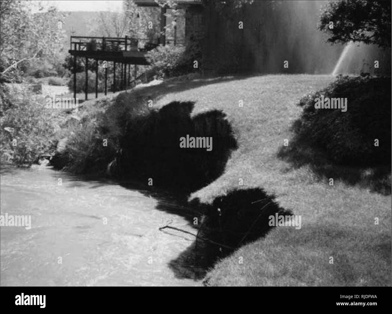 . Die Notwendigkeit für Stream bewachsenen Puffer [elektronische Ressource]: Was sagt die Wissenschaft? . Pufferzonen (ecosystem management); Wasserqualität; Lebensraum (Ökologie); Stream Ökologie; Riparian Ökologie. Wissenschaftliche Empfehlungen über die Größe der Stream bewachsenen Puffer zum Schutz der Wasserqualität. Rasen - mit ihren flachen Wurzeln - nicht deutlich heraus filtern Schadstoffe im Wasser. Sie können auch eine Quelle von Düngemitteln und Pestiziden, Stoffe, die nicht Bäche und Flüsse ein. Montana Abt. der natürlichen Ressourcen und die Erhaltung Fotoarchiv. Formen der Stream leben. Wie alle Formen des nitr Stockfoto