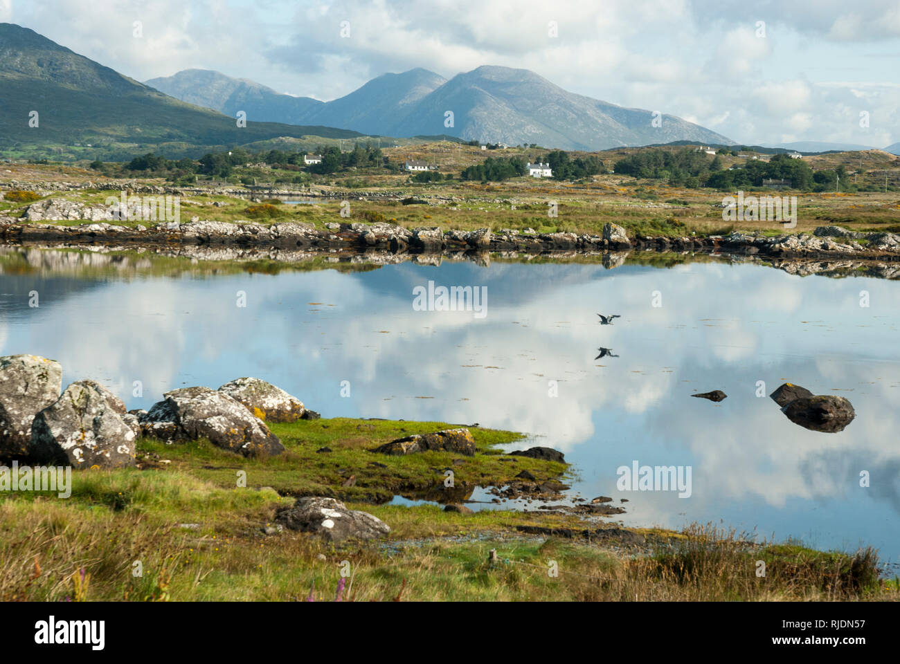 Reflexionen über ein Sommertag in der ruhigen Derryclare Lough mit den Twelve Bens Berge im Hintergrund. Stockfoto