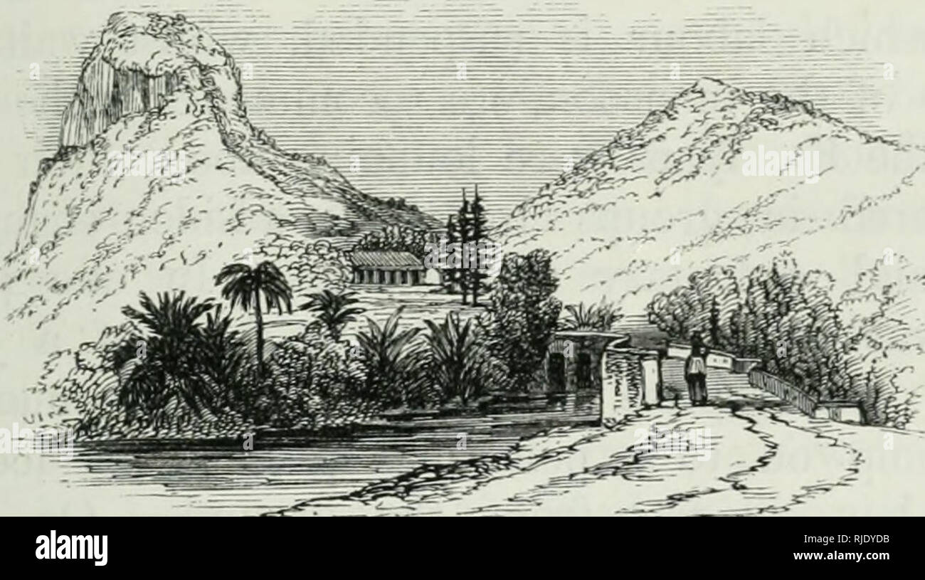 . Ceylon: ein Konto von der Insel, physikalische, historischen und topographischen Mitteilungen der natürlichen Geschichte, Altertümer und Produktionen. Natural History - - Sri Lanka, Sri Lanka. Kap. IV.] REST-HAUS. 183 anlässlich unseres Besuches wurden wir mit tlie receied Ijy liim Ehre Der wliite Tuch, der Ansatz für sein Haus mit langen Stücken Baumwolle auf die Veranda wird abgedeckt. Tom-tom Quirlen und Musiker^W^ere entlang tlie Avenue stationiert, die Gruppen von Jungs exliibited nationale Tänze, und beat Zeit durch die Überschneidenden Sticks von harten W^ood, und nach ihnen ein Band der Teufel Tänzer aus ein Stockfoto