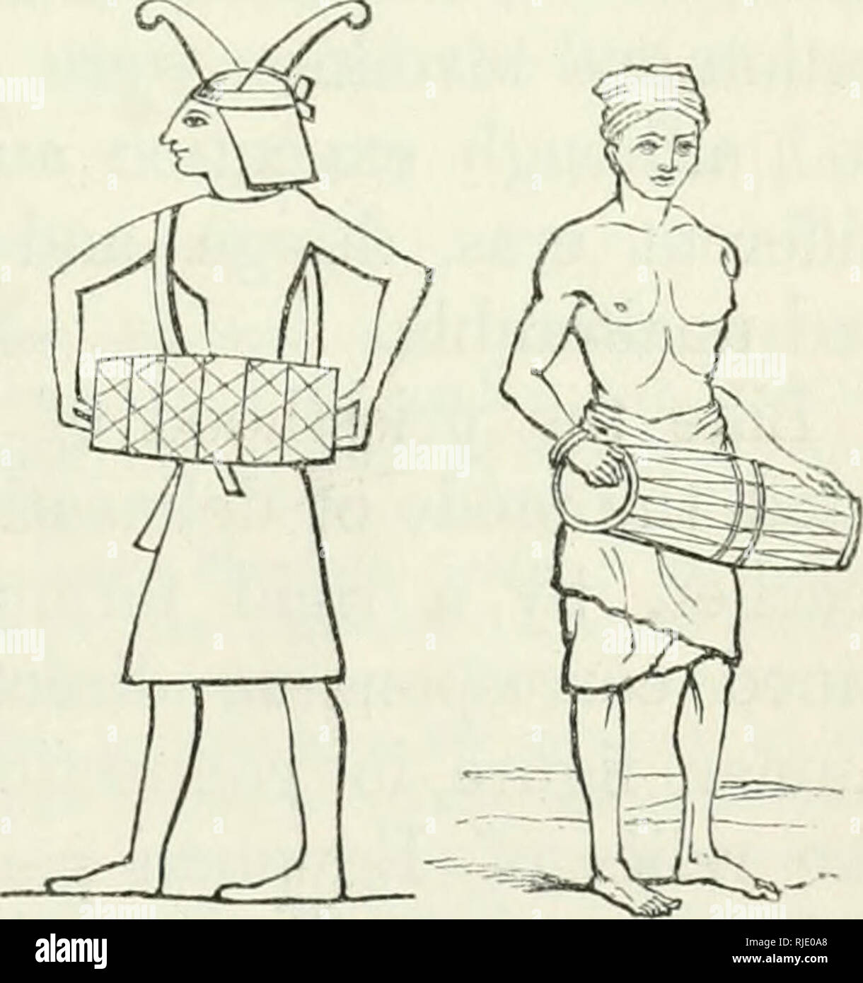 . Ceylon: ein Konto von der Insel, physikalische, historischen und topographischen Mitteilungen der natürlichen Geschichte, Altertümer und Produktionen. Natural History. Kap. VIL] der bildenden Kunst. 471 Die Eajavali bezieht, im Sprechen der Armee von dutu - gaimiinu, die in ihrer März "ratthng der 60 - vier Arten von Trommeln ein Geräusch resembhng Donner brechen auf dem Felsen aus, hinter denen die Sonne aufgeht." ^ Die Band des Devenipiatissa, 307 v. Chr., war der caUed talawachara, von tlie muUitude von Di^^: ums chank-Muscheln trugen dazu bei, das Din, sowohl in der Kriegsführung^ und in rehgious Anbetung zu schwellen gemacht Stockfoto