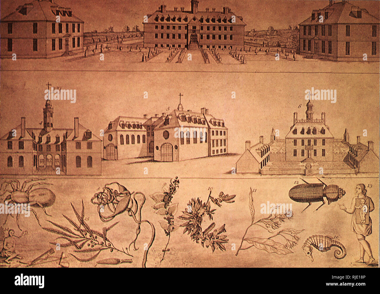 William und Mary College und indische Schule 1735. Stockfoto