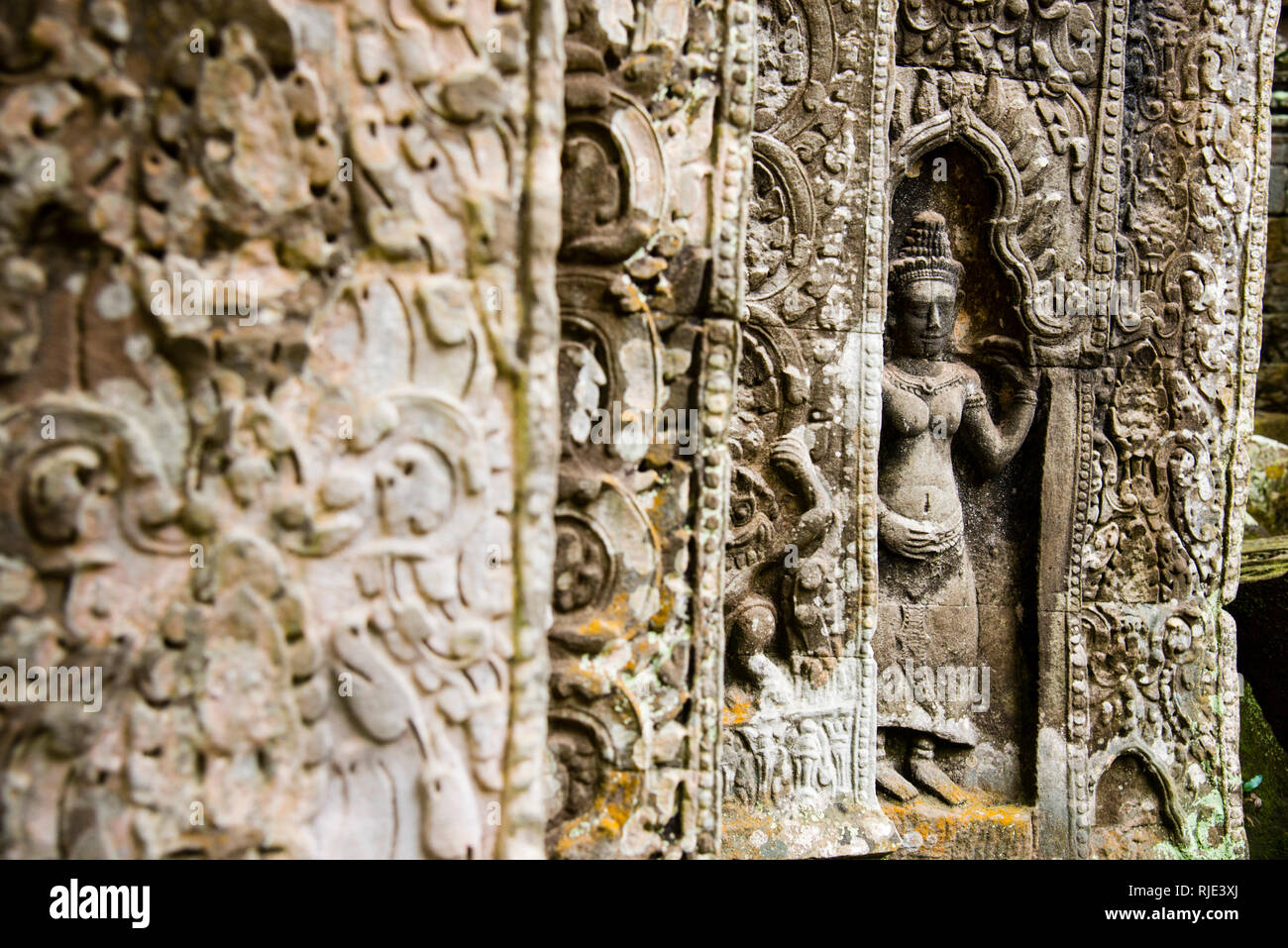 Devatas Stein geschnitzte Basrelief buddhistische weibliche Gottheit Tempelhüterin in Ta Prohm archäologische Ruinen in Angkor Wat, Kambodscha. Stockfoto