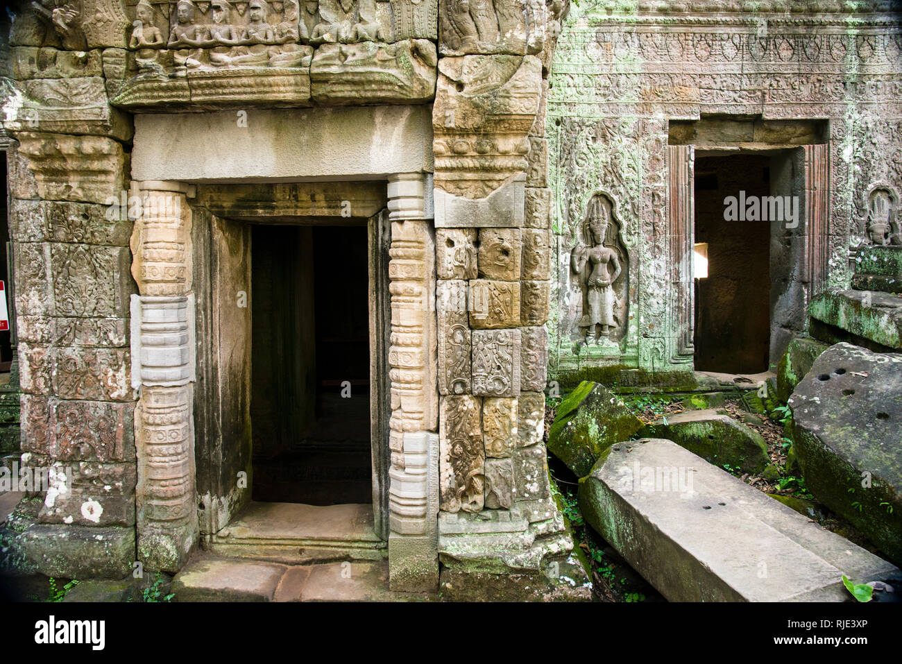 Devatas Stein geschnitzte Basrelief buddhistische weibliche Gottheit Tempelhüterin in Ta Prohm archäologische Ruinen in Angkor Wat, Kambodscha. Stockfoto