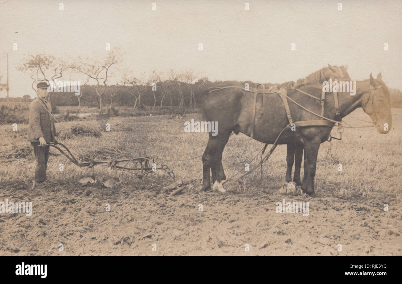 Jahrgang fotografische Postkarte von zwei Pferden und einem Mann Pflügen eines Feldes. Stockfoto