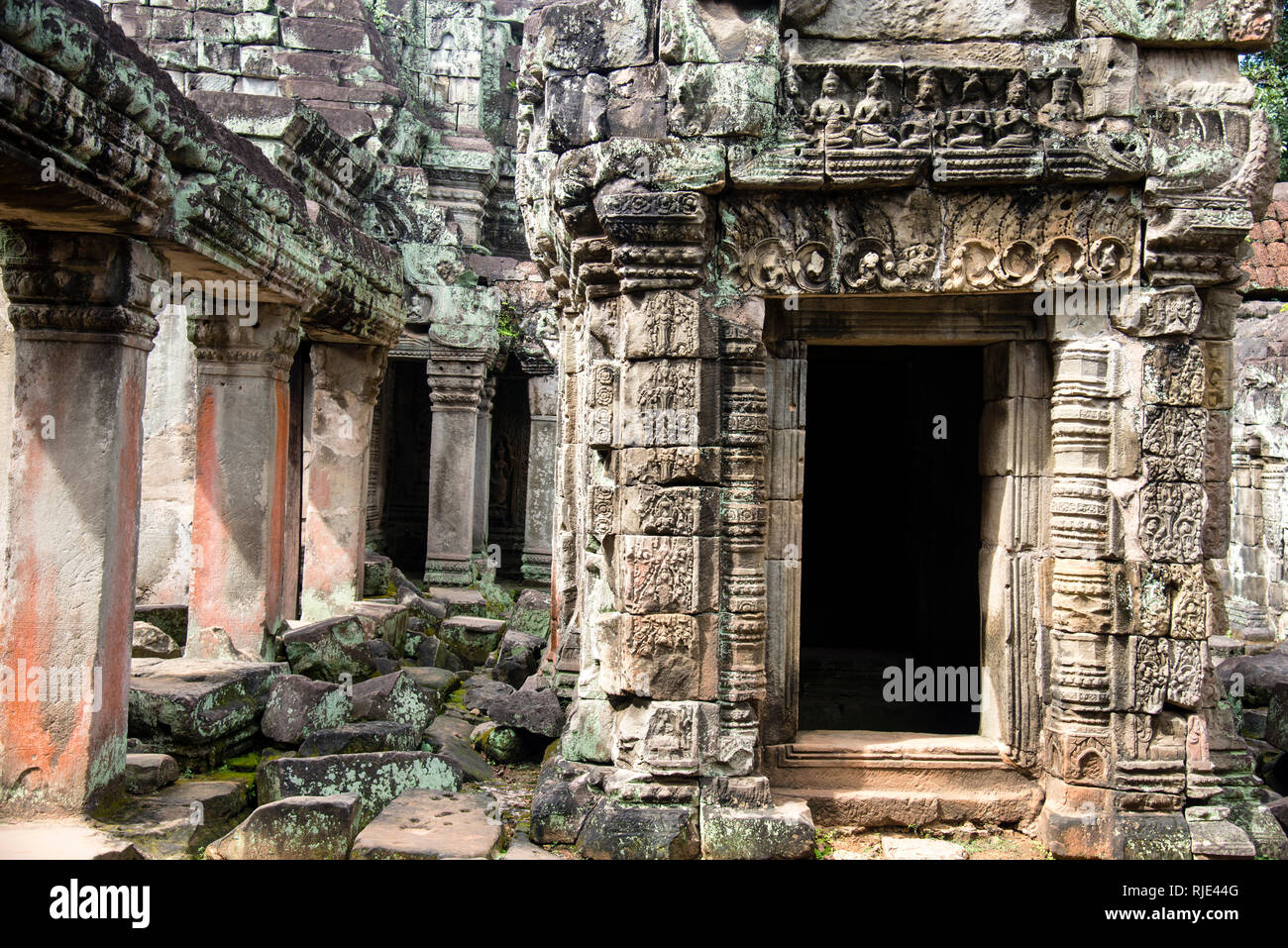 Banteay Srei rosa Sandsteintempel in Angkor Wat, Angkor, Kambodscha, gewidmet dem hinduistischen Gott Shiva. Stockfoto