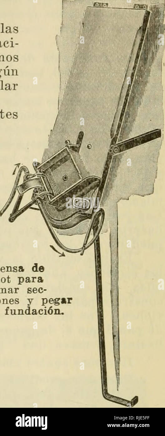 . Catálogo ilustrado de los enseres apicultores de para. Biene Kultur. Prensa De para armar Sek - ciones pegar y la Fundación. PRENSA IJE ROOT PARA ARMAR SECCIONES Y PEGAR LA FUNDACIÓN EIN DAMPF Mediante La Prensa De Eoot se puede keine solamente Armar las secciones, sino también pegar la Fundación de Panal en Ellas, Haci-éndose Las Dos operaciones en la misma Máquina. Últimamente hemos reformado esta Máquina, añadiendo un Plato calentado ein Dampf, según se puede ver por la Ilustración, sirviendo el Pedal tanto para las secciones doblar Como para Regelmäßige la presión del Dampf. Puédese, asimi Stockfoto
