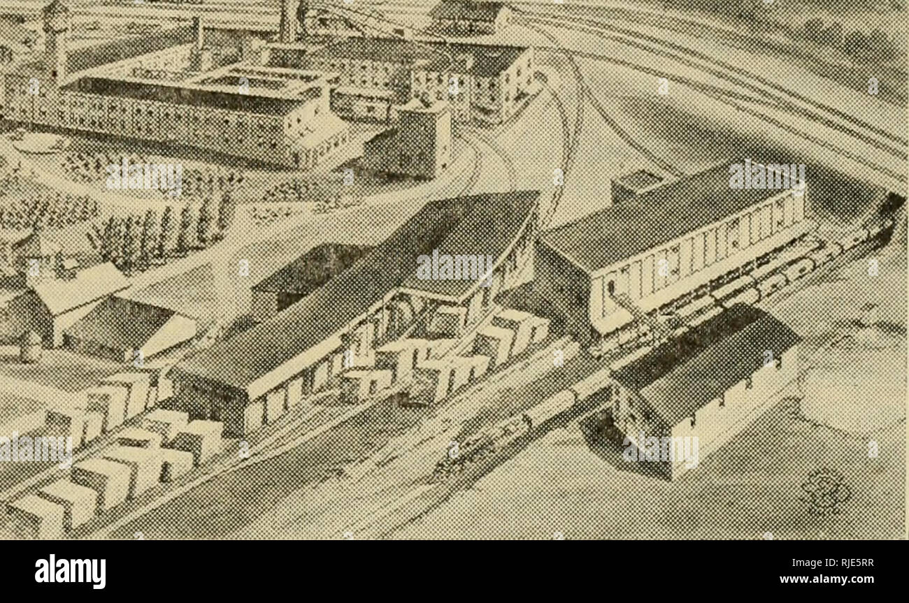 . Catálogo ilustrado de los enseres apicultores de para. Biene Kultur. Catálogo Nr. 18. Vista á pájaro de La Fàbrica y Colmenares. Die A. I. Root Unternehmen Fàbrica y Piña Principales Medina, Ohio, E. U. A. Sucursales: 139-141 Franklin Street;. Nueva York 224-230 W. Hurón Street Chicago 8-10 Vine Street PhiladelpMa 290 E. 6. Straße St. Paul, Minn. 1631 W. Genesee Street Syracuse, N.Y. 873 Massachusetts Avenue Indianapolis, Ind 10 Commerce Street Norfolk, VA. Die A. I. Root Unternehmen von Kalifornien 52-54 Main Street San Francisco, cal. 1824 East 15. Straße Los Angeles, cal. Dirígese Toda Stockfoto
