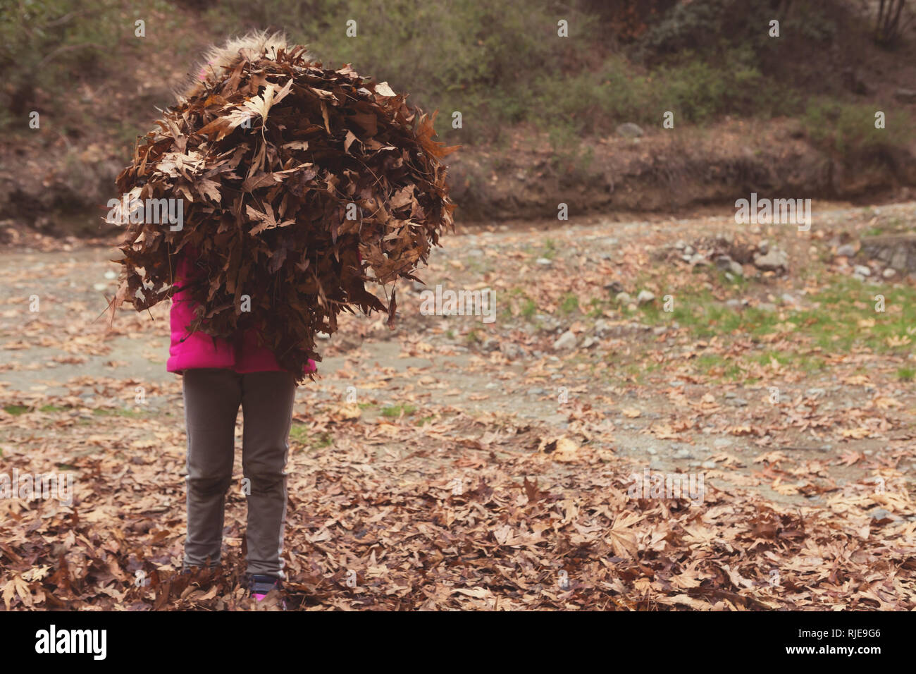 Adorable kleinen Mädchen sammeln Blätter in einem Wald im Herbst Stockfoto