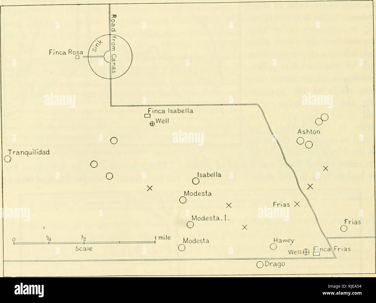 . Höhle Wirbeltiere von Amerika; eine Studie bei degenerativen Evolution. Höhle Tiere; Heteropygii. 194 blinde WIRBELTIERE UND LIN* Augen. Sehr häufig gibt es eine Insel im Wasser unter der Öffnung im Dach und in den Ashton Typ hat das Wasser zu einem Halbmond am Sockel der Wand noch eingeschränkt werden. Es ist möglich, dass die carboneria und Alacranes Höhlen zu den Höhlen gehören. Fast immer einen oder mehrere Bäume (Ficus) stehen über die Höhle und lange Wurzeln durch die Höhle zum Wasser, wo Sie brechen in die Zahl - weniger Feinstwurzeln (Tafel 12, Abb. senden. Stockfoto