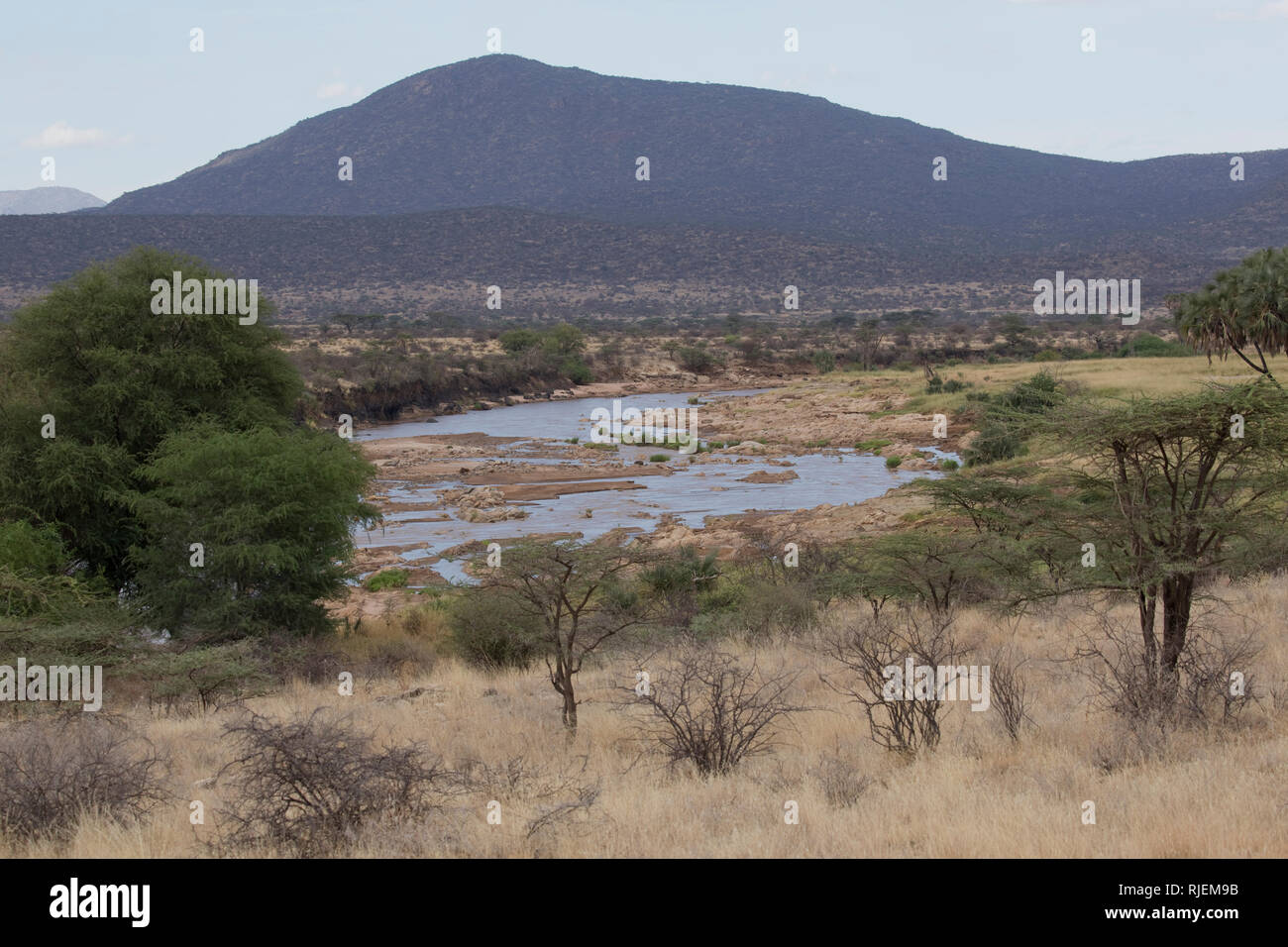 Szenischen der Ewaso Ngiro River, Shaba National Reserve, Kenia Stockfoto