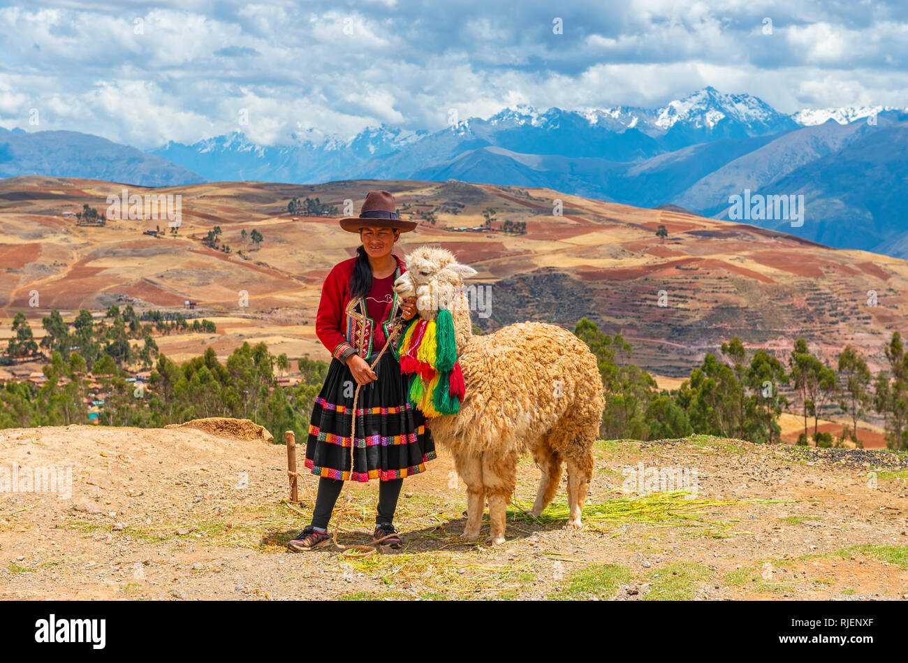 Der peruanischen indigenen Quechua Dame in traditioneller Kleidung mit ihrem Alpaka in das Heilige Tal der Inka und die Anden, Cusco, Peru. Stockfoto