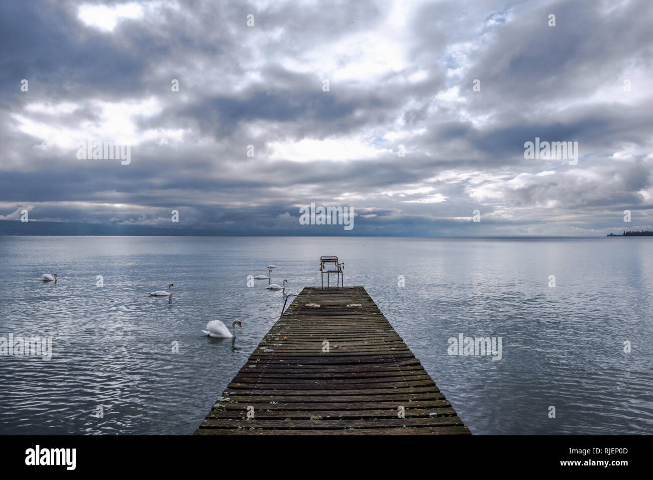 Einen verlassenen Stuhl auf einem Steg mit Blick auf eine trübe Genfer See mit Schwänen im Vordergrund. Stockfoto