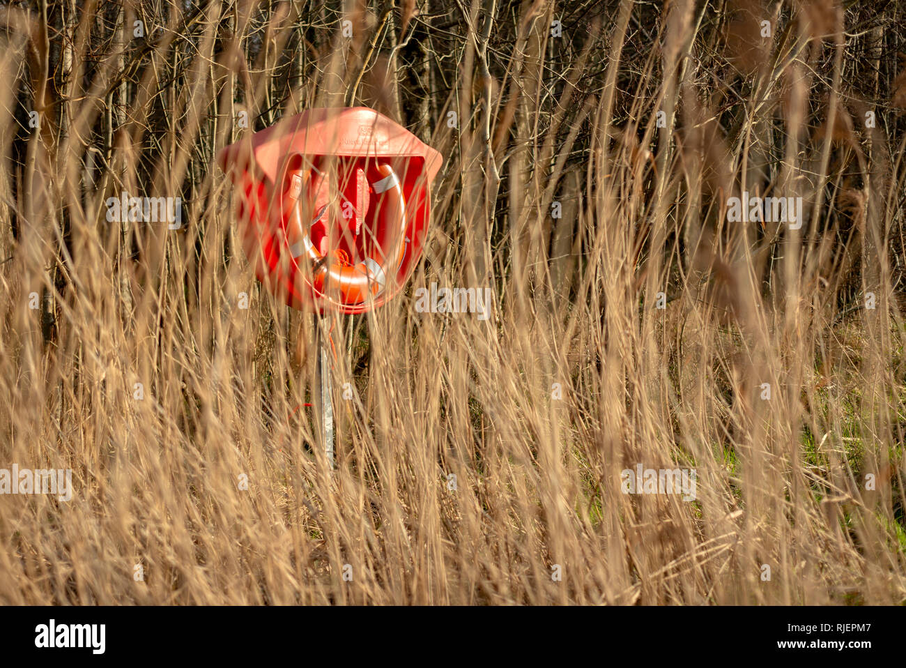 Orangefarbener Rettungsring oder Rettungsgürtel aus Sicht durch hohes Gras als Hilfe- und Rettungskonzept Stockfoto