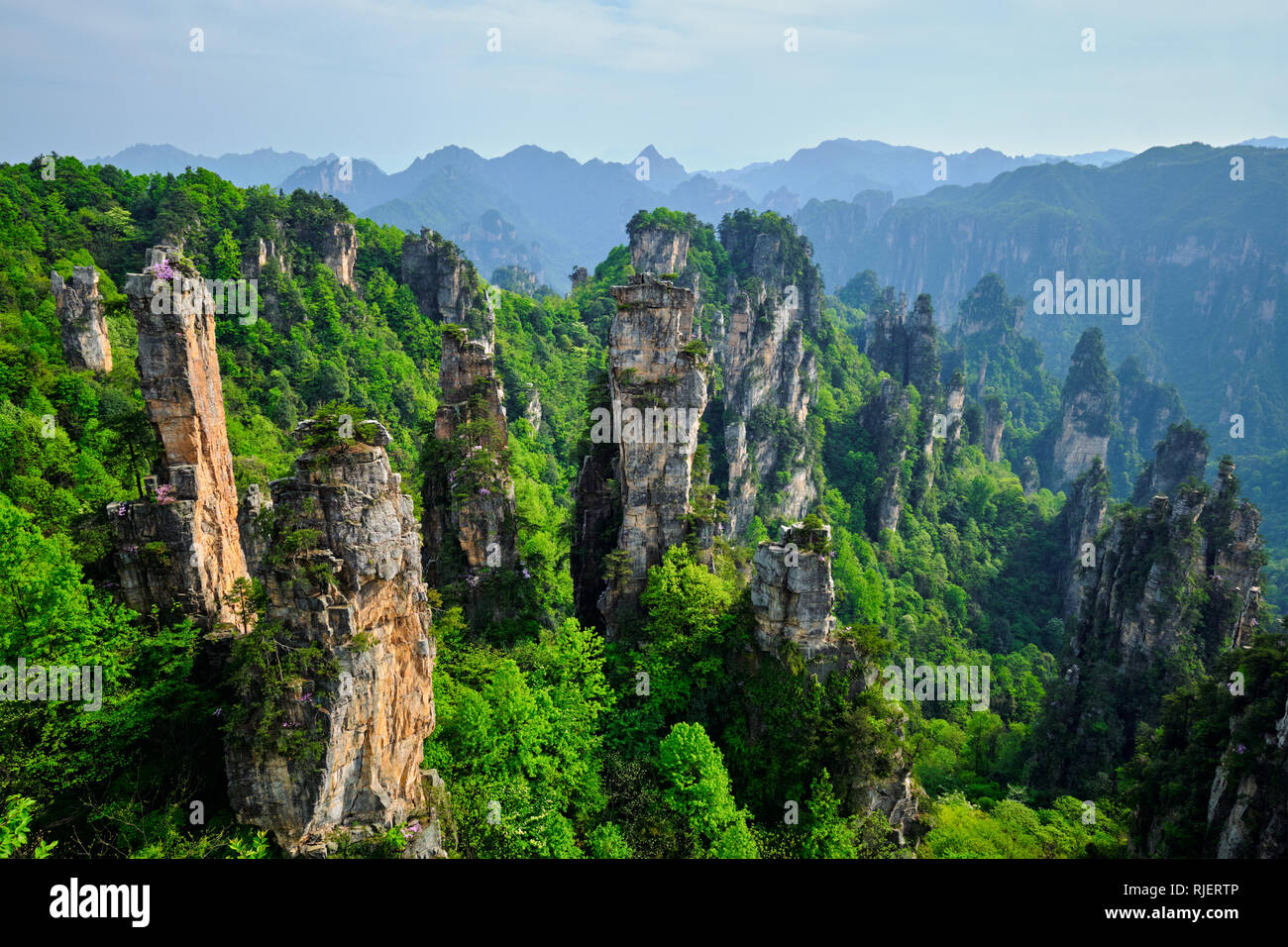 Zhangjiajie Berge, China Stockfoto