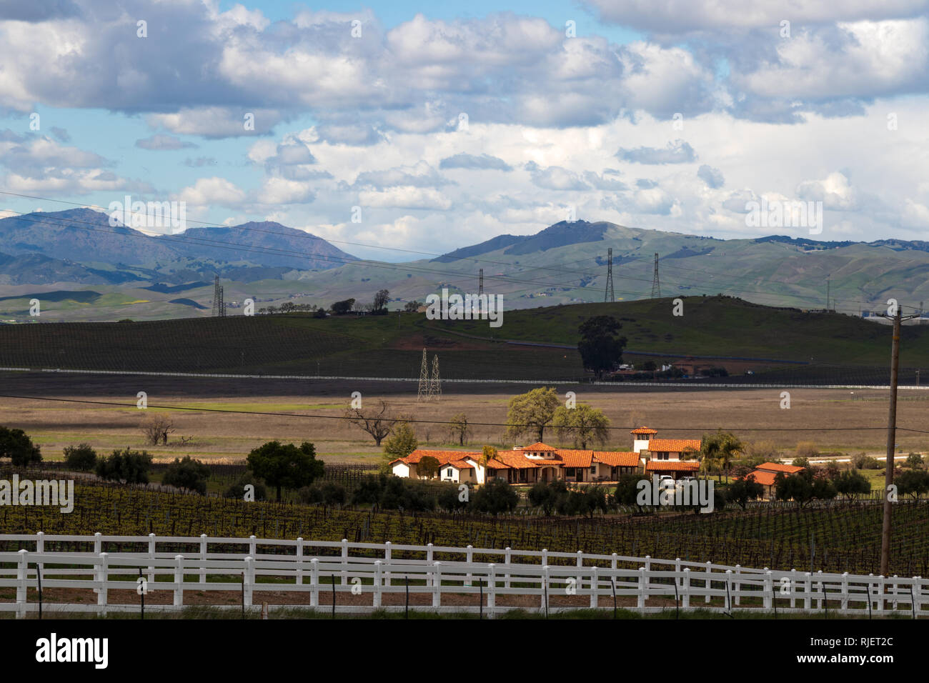 Weinberg in der Nähe von Livermore mit Kalifornien Hügel im Hintergrund in der Dämmerung Stockfoto