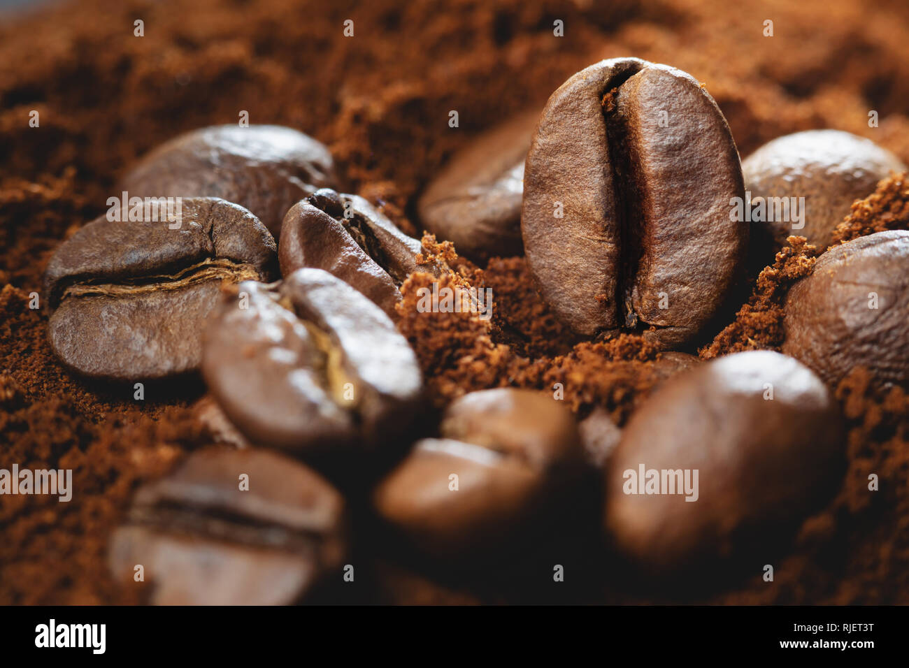 Nahaufnahme Foto von Kaffeebohnen und gemahlenen Kaffee. Stockfoto