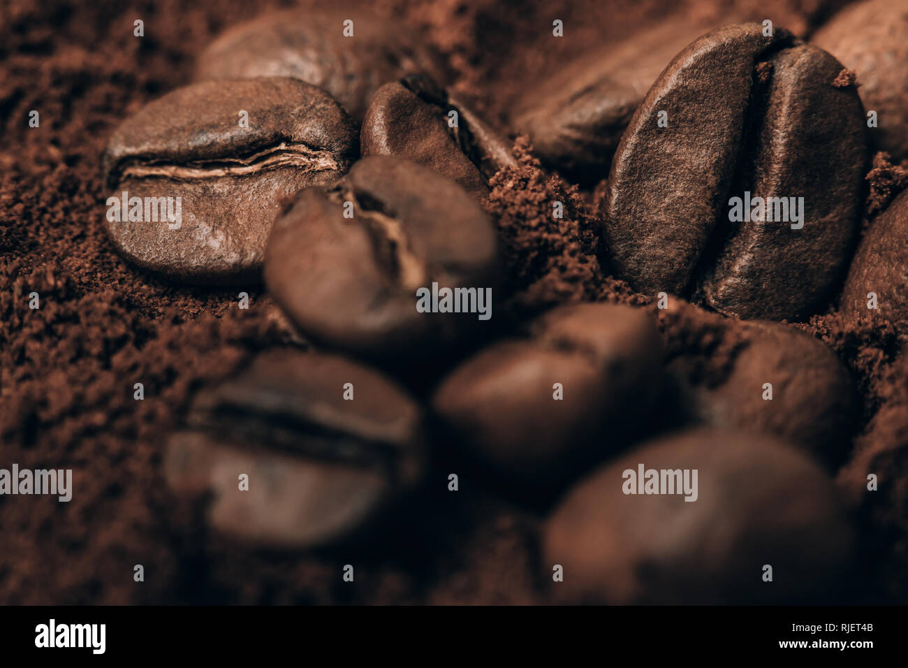 Nahaufnahme Foto von Kaffeebohnen und gemahlenen Kaffee. Stockfoto