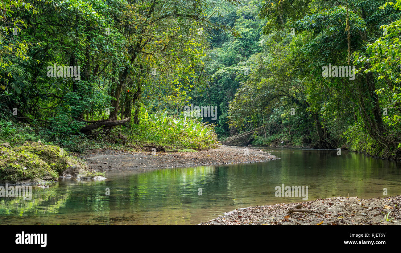 Ein buntes Bild einer schönen bergigen Fluss fließt in einer vielfältigen tropischen regen Wald Landschaft an der Drake Bay, Costa Rica Stockfoto