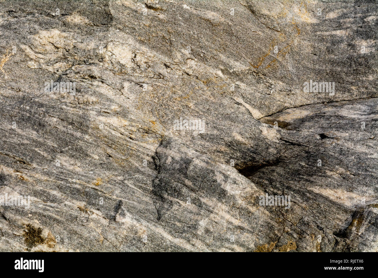 Granodiorit ist ein phaneritic - Strukturierte intrusiveigneous Rock vergleichbar mit Granit - Geologie Textur oder Hintergrund Stockfoto