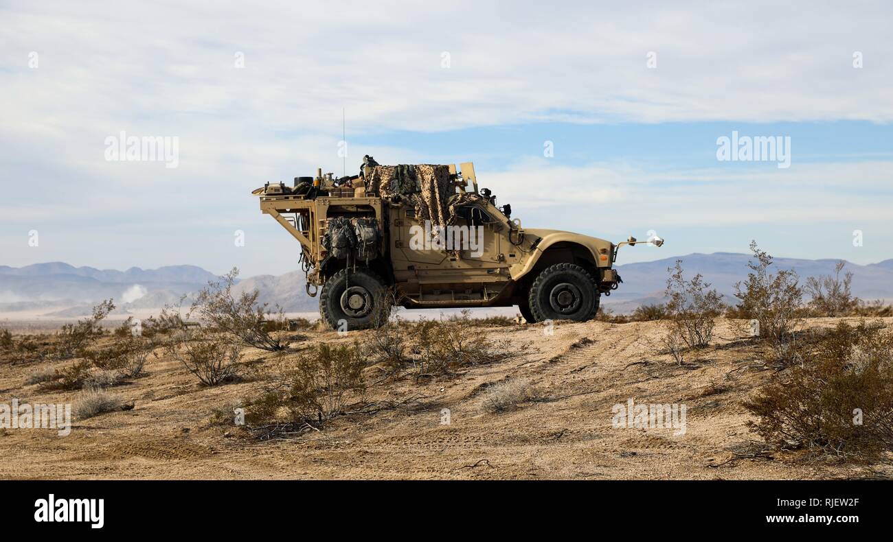 Die US-Armee Mine beständig Hinterhalt geschützt (M-ATV) zu Unternehmen, 3 Squadron, 8th Cavalry Regiment, 3. gepanzerte Brigade Combat Team, 1.Kavallerie Division, Fort Hood, Texas, bietet Sicherheit aus einer erhöhten Position während der entscheidenden Aktion Rotation 19-03 am National Training Center (NTC) in Fort Irwin, Kalifornien, 18.01.2019. Entscheidende Maßnahmen Drehungen am NTC sicher Armee Brigade Combat Teams vielseitig bleiben, reaktionsschnell und konsequent für aktuelle und zukünftige Eventualitäten zur Verfügung. (U.S. Armee Foto von Pfc. Taylor McGinnis, Operations, National Training Center) Stockfoto