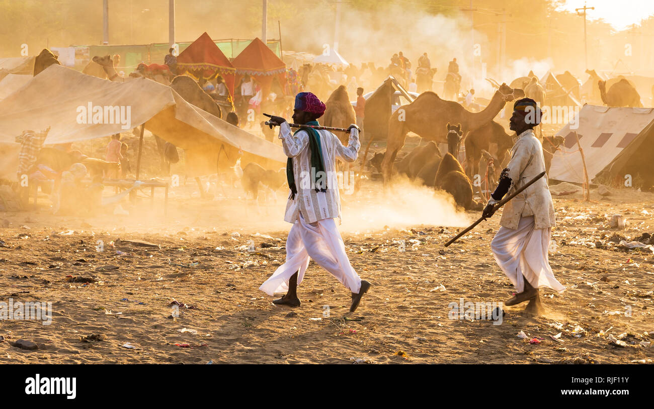 Die Pushkar Fair aka Pushkar Camel Fair oder lokal als Kartik Mela oder Pushkar Ka Mela ist eine jährliche mehrtägige Vieh Messe in der Stadt Pushkar gehalten Stockfoto
