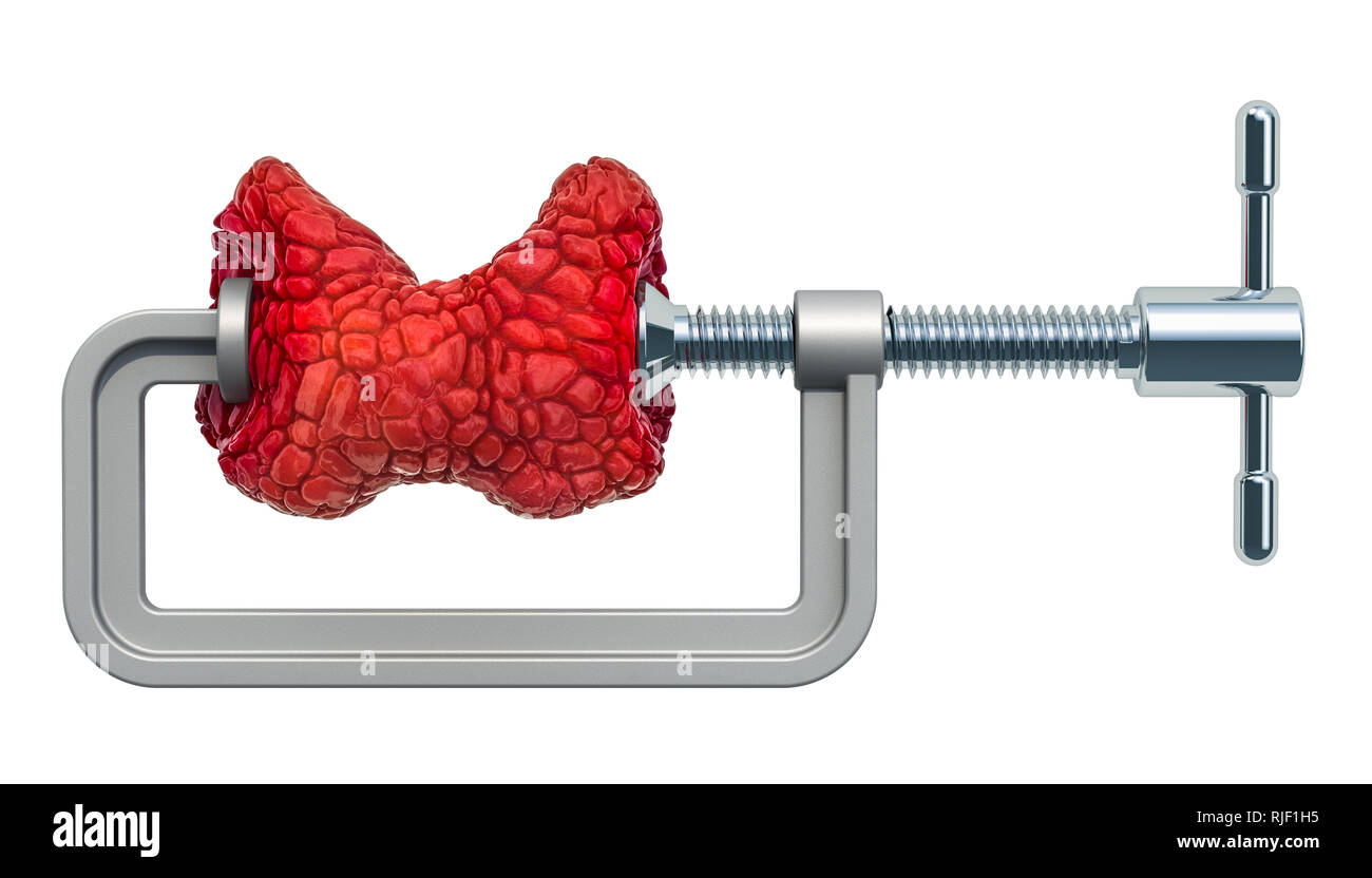 Schilddrüsenerkrankung Konzept. Schraubstock mit menschlichen Schilddrüse, 3D-Rendering auf weißem Hintergrund Stockfoto