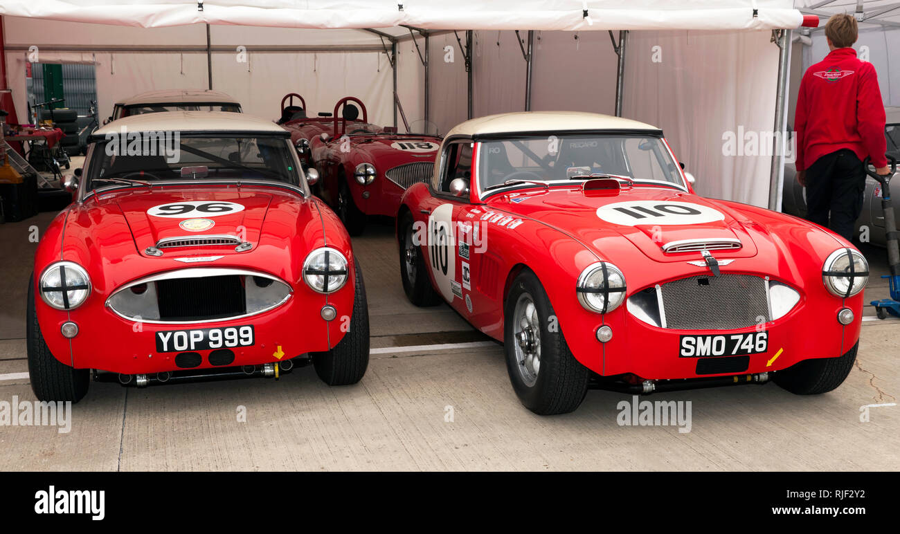Vorderansicht von zwei 1959, Austin Healey 3000 Rennwagen in den Gallet Trophäe für klassische GT-Fahrzeuge (66') an der Silverstone Classic 2017 Stockfoto