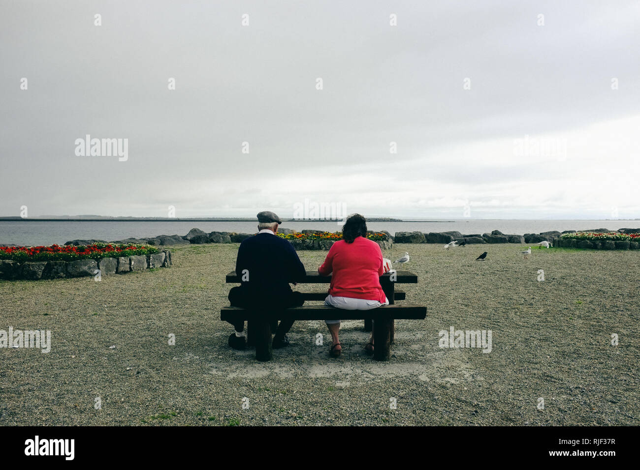Hängen Sie an der Bucht von Galway Salthill, eine Pause und beobachten Sie Vögel nehmen Stockfoto
