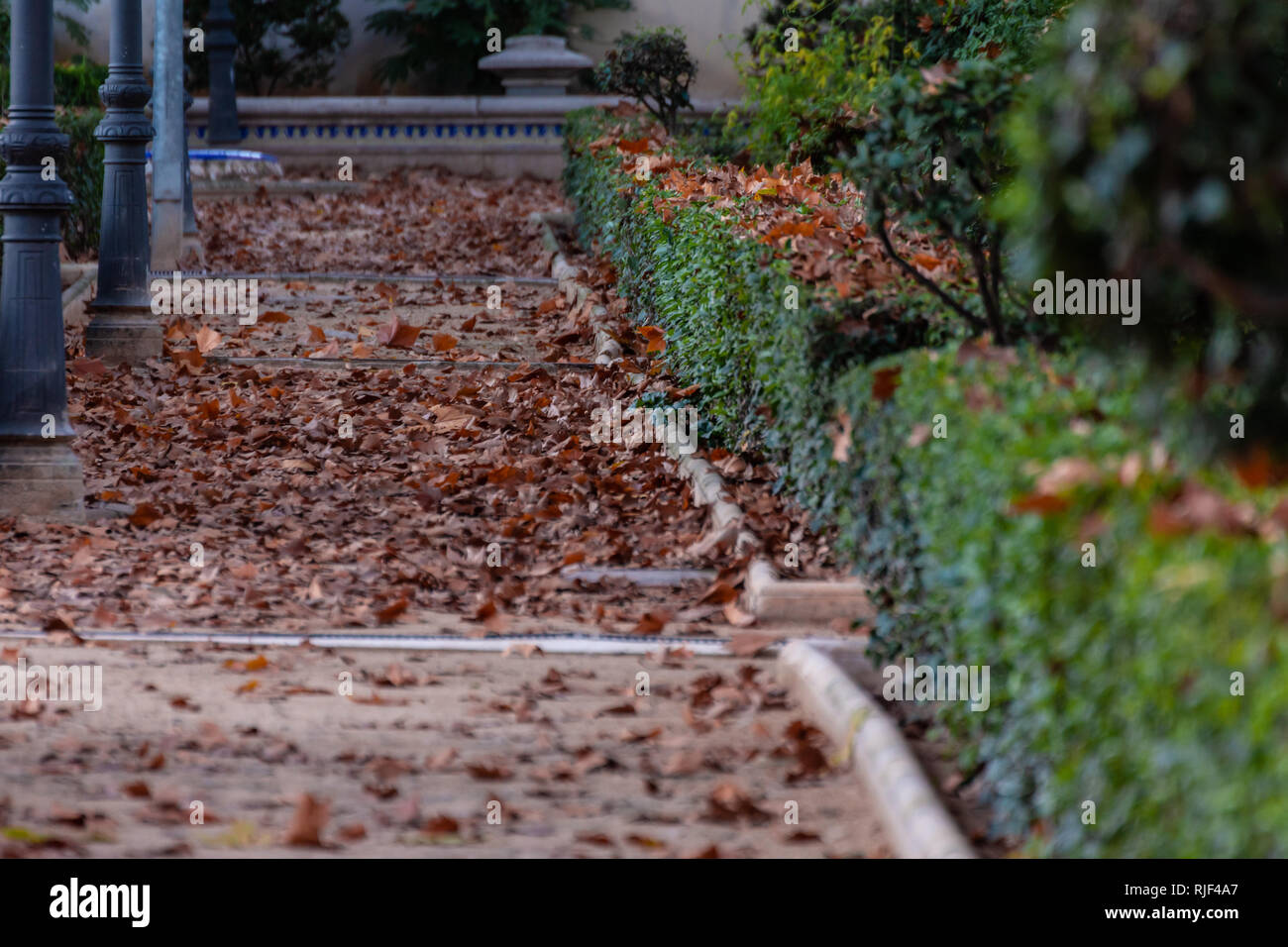 Blätter von Bäumen auf dem Boden eines Park gefallen. Typische herbst Bild Stockfoto