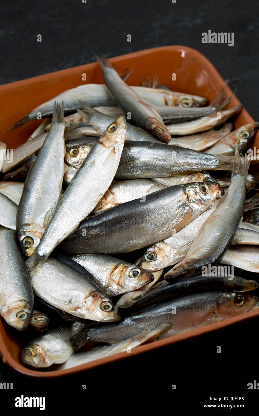 Roh, gekocht, Sprotten, Sprattus sprattus, aus einem Supermarkt in Großbritannien gekauft und in einer Schüssel auf einem dunklen Hintergrund angezeigt, Schiefer. Dorset England UK GB Stockfoto