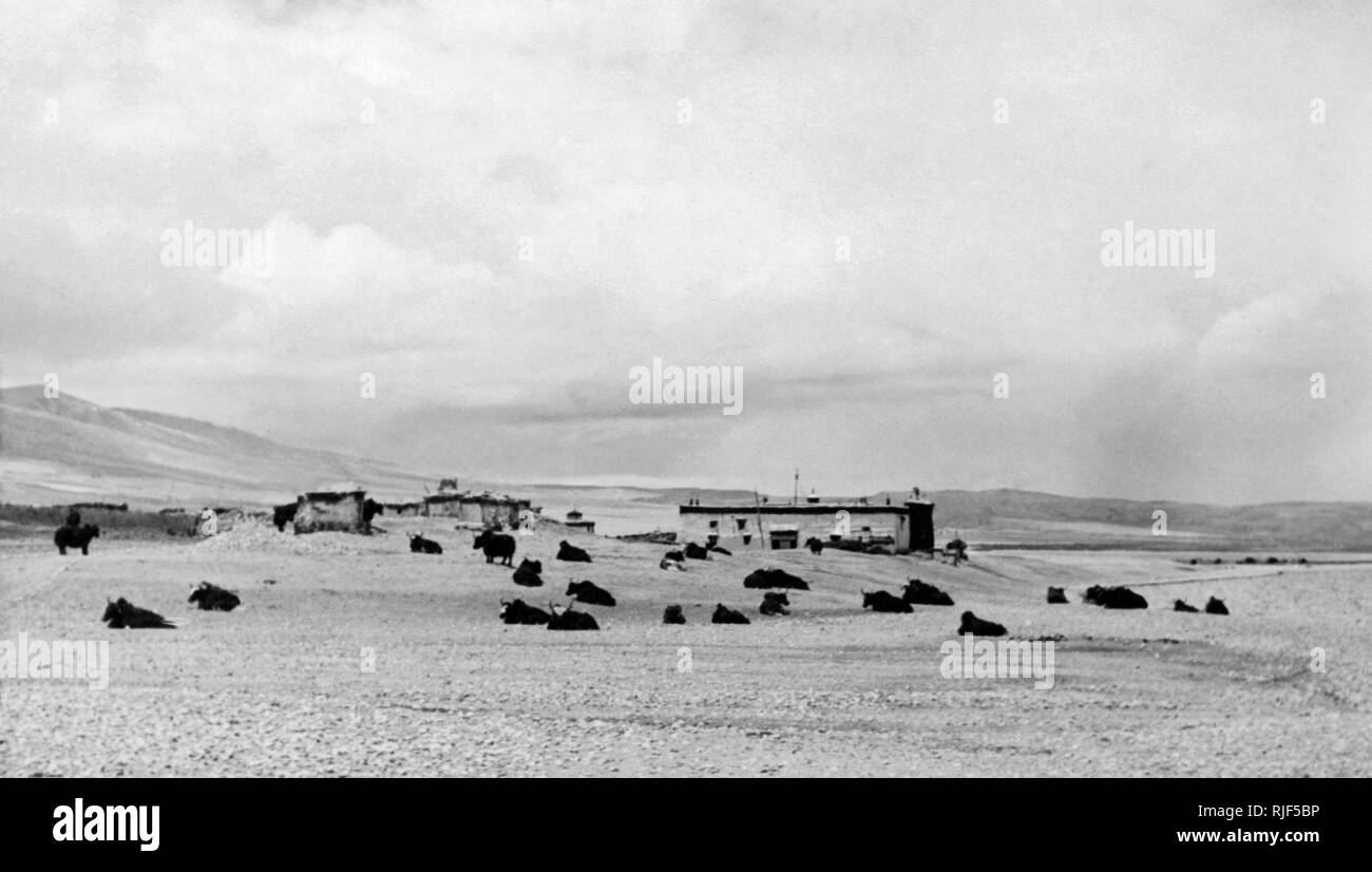 Caravan ruht in der Nähe des Klosters von lampona, italienischen Expedition in Tibet, 1920-30 Stockfoto